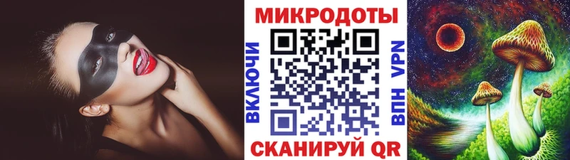 mega   Норильск  Галлюциногенные грибы Psilocybine cubensis 